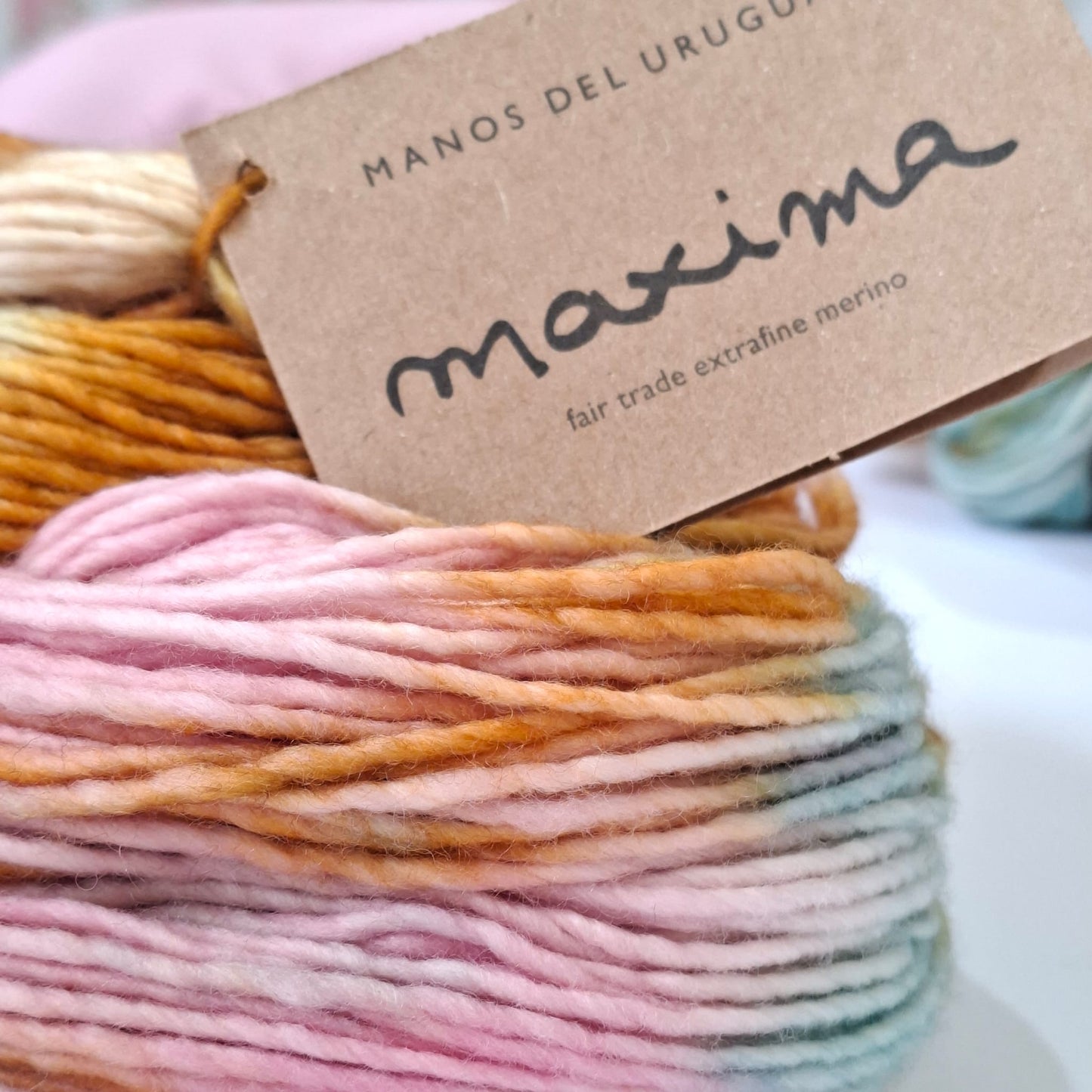 Manos del Uruguay | Maxima - Extrafine Merino | 10 Ply (Aran) 100g | Icon