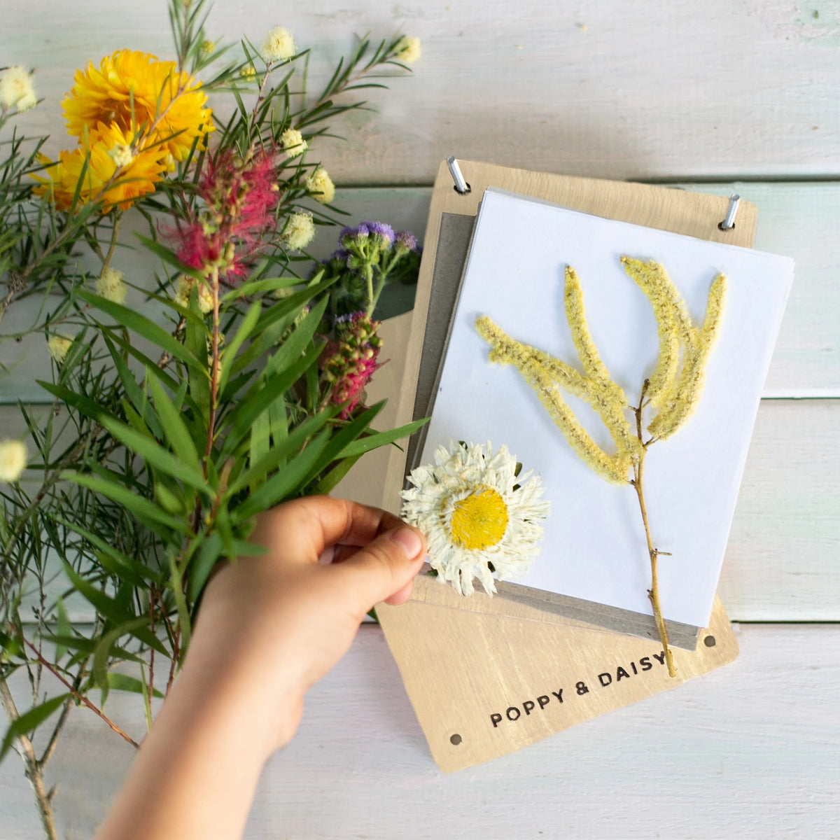 Flower Press Kit by Poppy & Daisy Designs