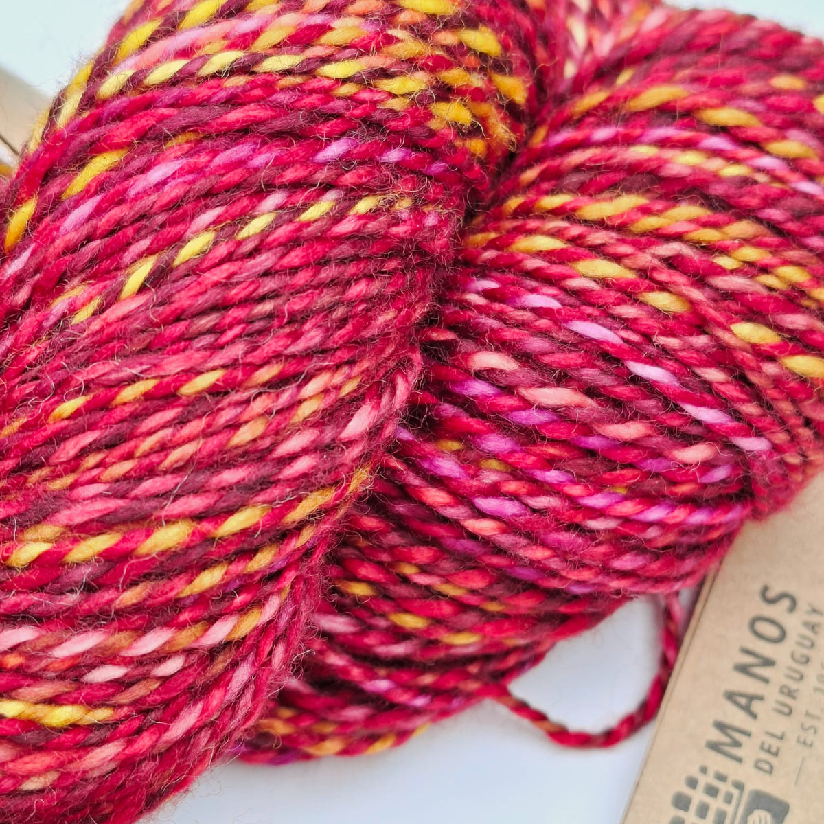Manos del Uruguay | 8 Ply Superwash Merino Yarn 100g | Spices