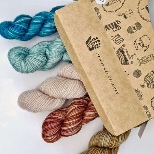 Manos del Uruguay | 4 Ply Silk Merino Blend Mini Skein | Phoebe