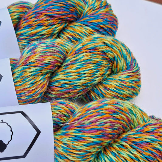 Fibre Arts Shed | 4 Ply Colour Change Wool Yarn | Lorikeet