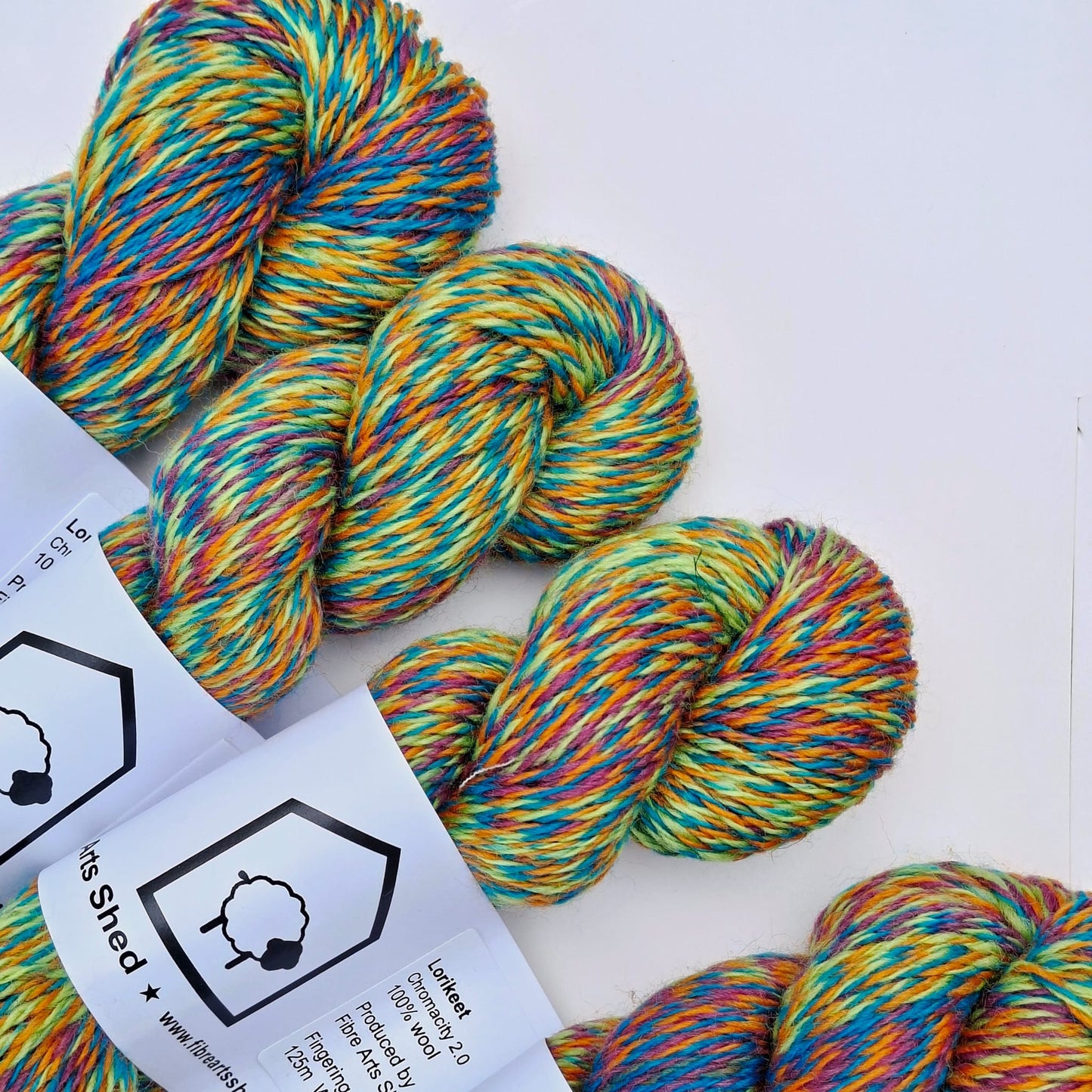 Fibre Arts Shed | 4 Ply Colour Change Wool Yarn | Lorikeet