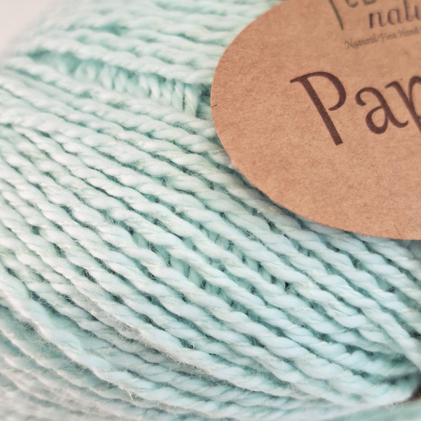 Fibra Natura Papyrus | 8 Ply Cotton & Silk Yarn 50g | Light Aqua 229-30