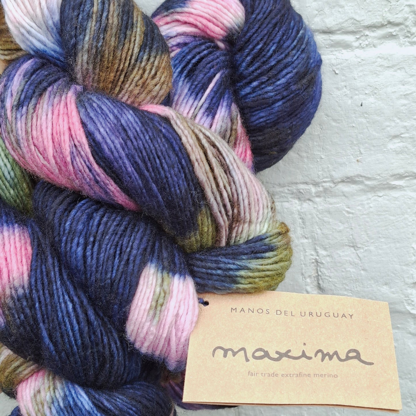 Manos del Uruguay | Maxima  - Extrafine Merino | 10 Ply (Aran) 100g | Midnight Garden