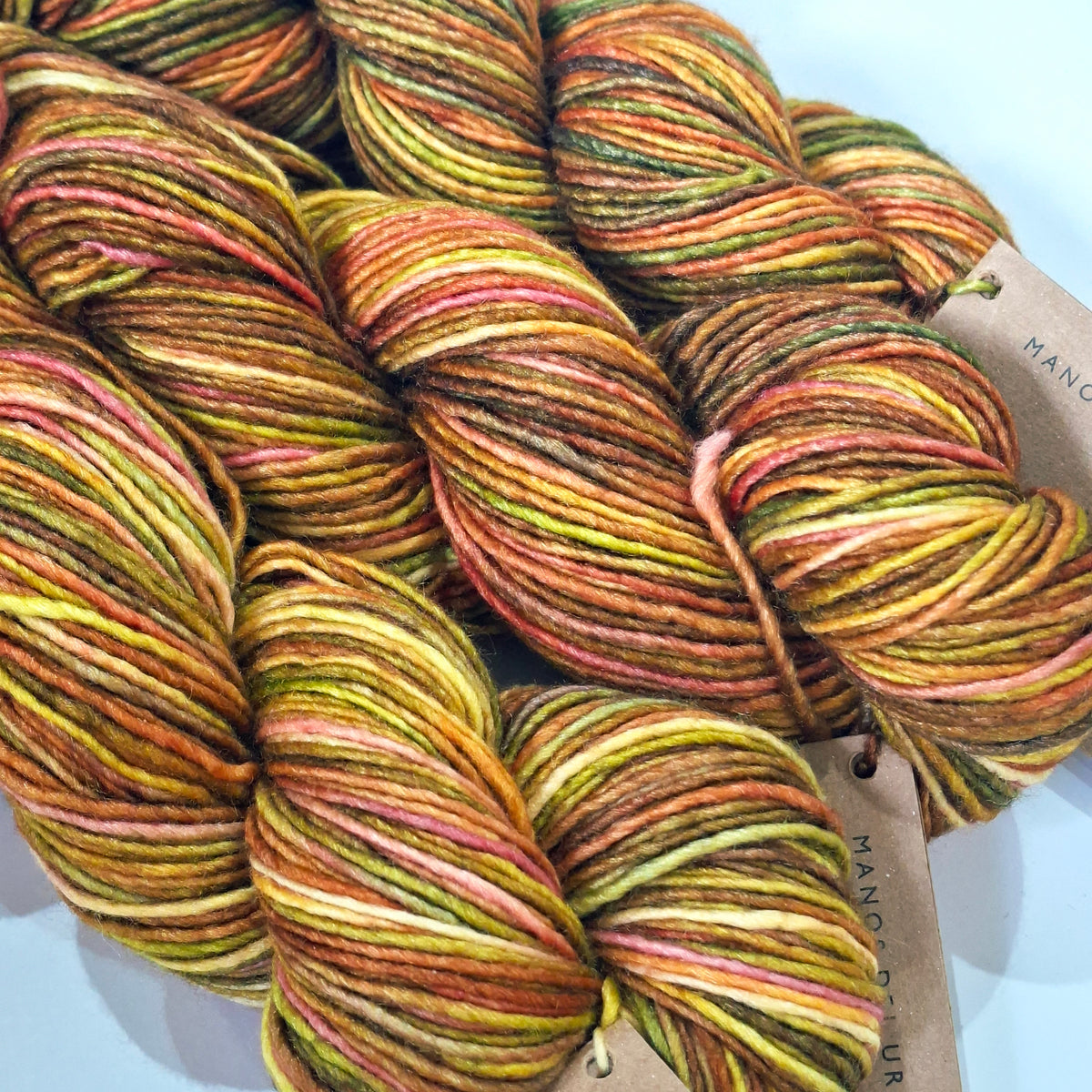 Manos del Uruguay | 8 Ply Silk Merino Blend Yarn 50g | Butia