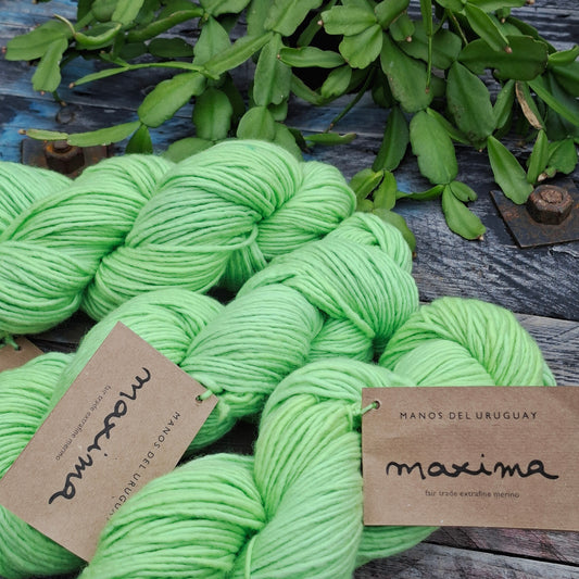 Manos del Uruguay | Maxima  - Extrafine Merino | 10 Ply (Aran) 100g | Fluoruro