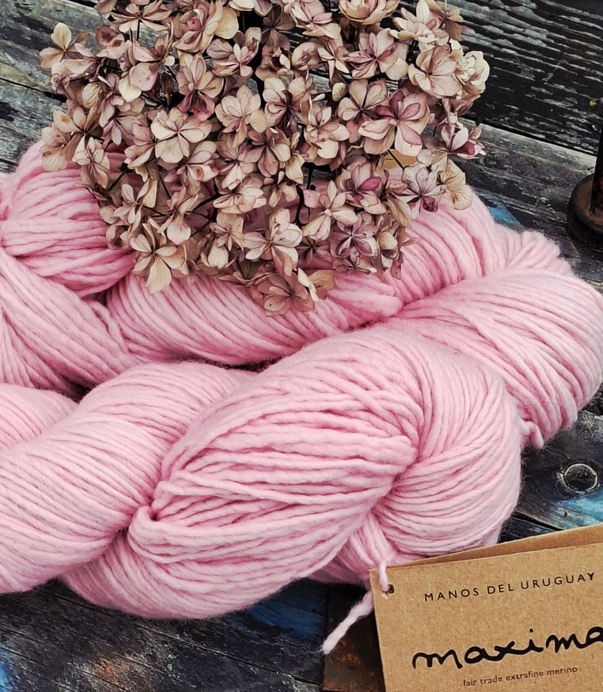 Manos del Uruguay | Maxima  - Extrafine Merino | 10 Ply (Aran) 100g | Cotton Candy