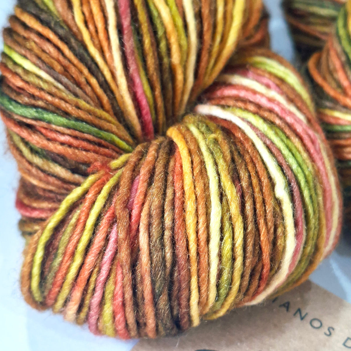 Manos del Uruguay | 8 Ply Silk Merino Blend Yarn 50g | Butia