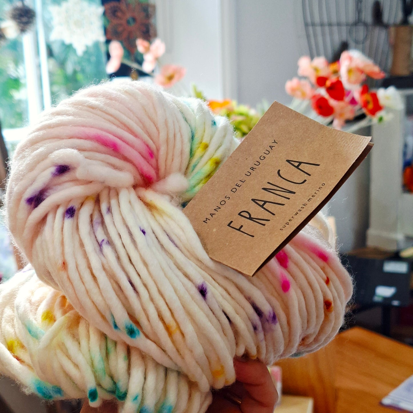 Manos del Uruguay Franca | Super Chunky 20 Ply Merino Yarn 150g | Party
